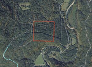 Property photo for land for sale in Newton County Arkansas