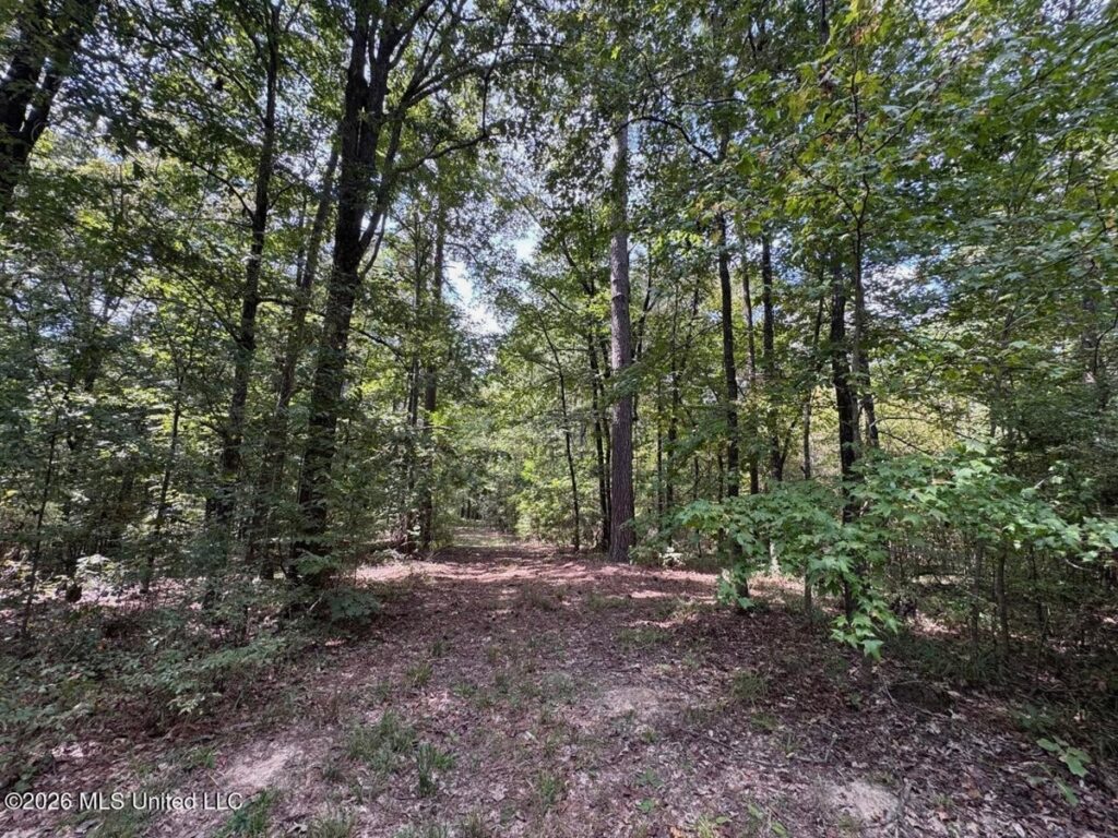 fbbf5178-dec7-4b62-9efb-207d95549237.jpg