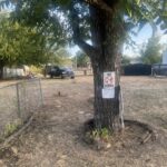 Property photo for land for sale in San Saba County Texas