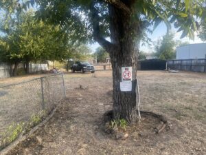 Property photo for land for sale in San Saba County Texas