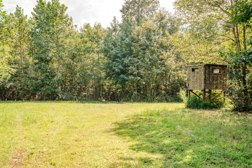 fc4ba90e-f766-4439-a13d-1a280aeb5e7a.jpg