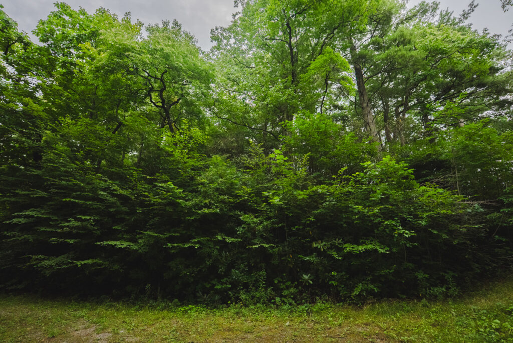 fc92f676-ea74-47d3-90fb-98014e8c82f5.jpg