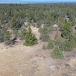 Property photo for land for sale in Lassen County California