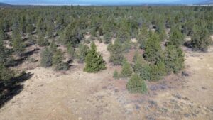 Property photo for land for sale in Lassen County California