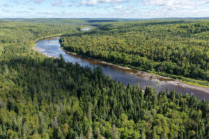 Property photo for land for sale in Aroostook County Maine