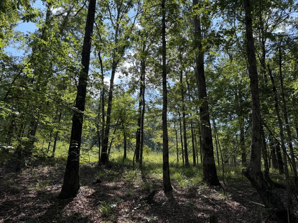 fd85f49b-1bd4-4930-9441-4ee587823adc.jpg