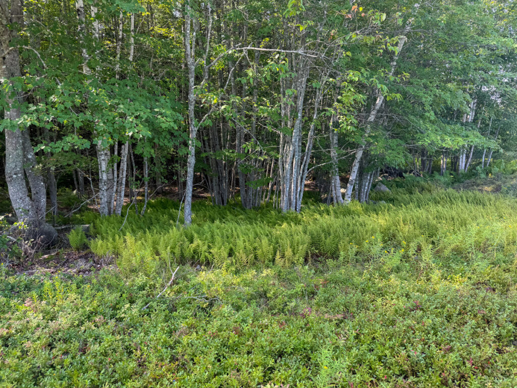 fe056710-9fcf-4868-b00e-325e332c55b0.jpg
