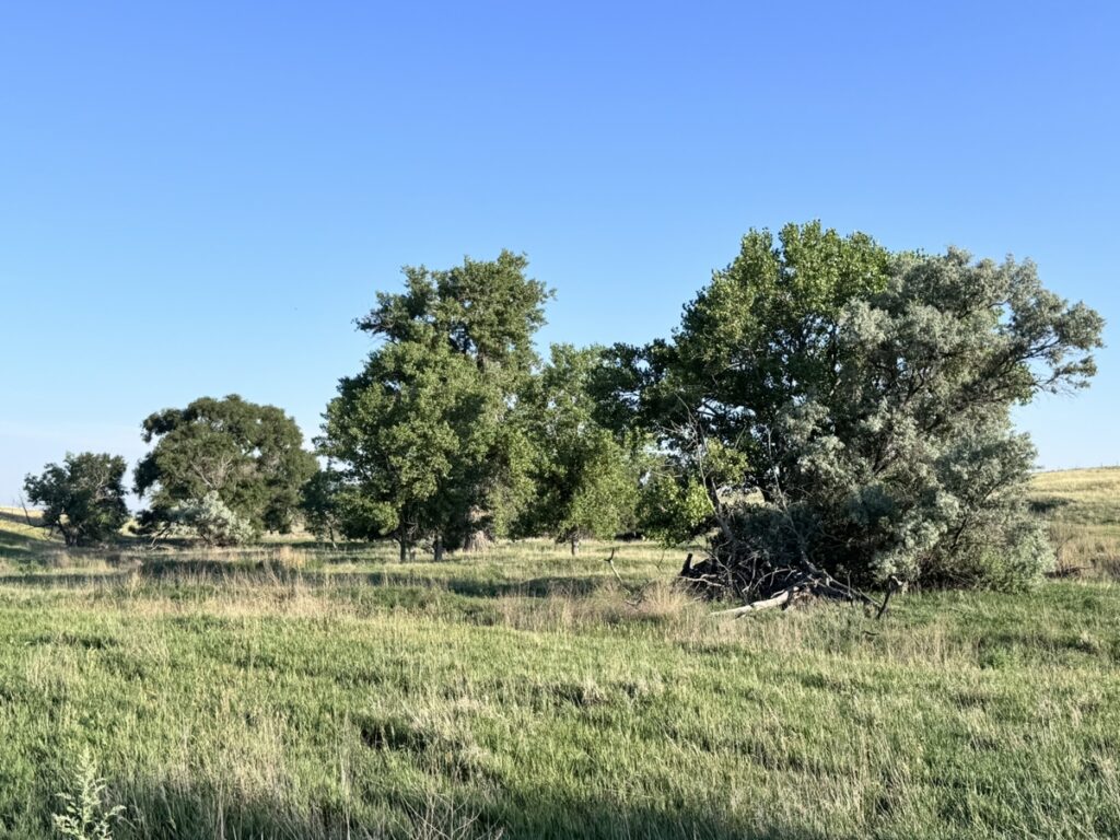 ffafa454-f02d-4858-8bce-0adbc691f6f5.jpg