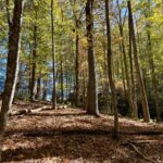 Property photo for land for sale in Floyd County Virginia