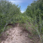 Property photo for land for sale in Live Oak County Texas