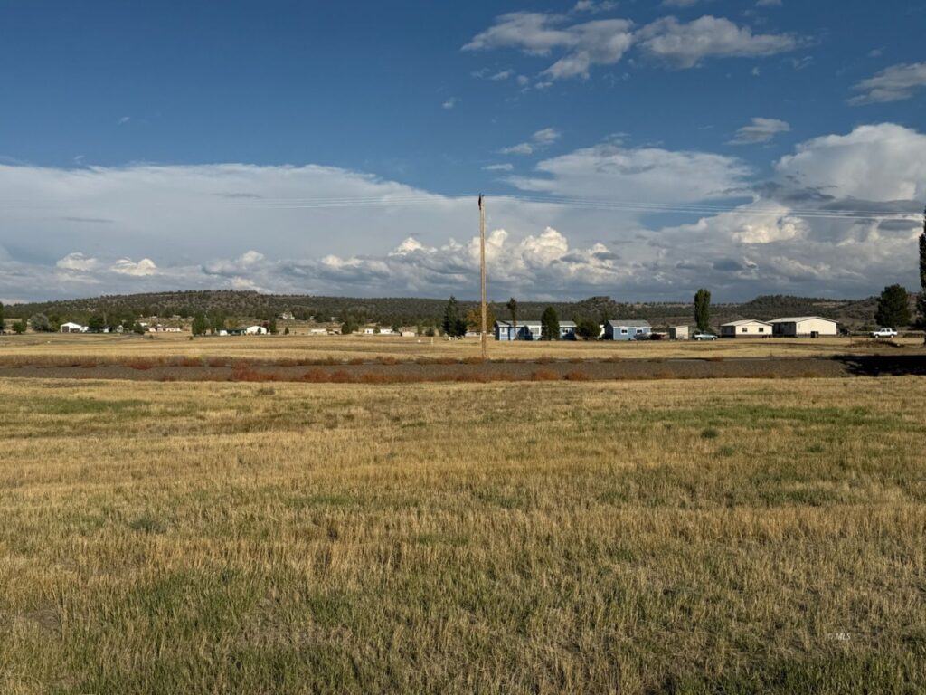 035cd254-e152-4cf8-b842-816965b05441.jpg