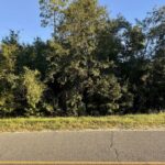 Property photo for land for sale in Hamilton County Florida