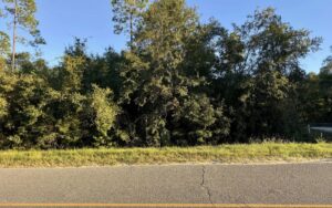 Property photo for land for sale in Hamilton County Florida