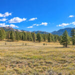 Property photo for land for sale in Teller County Colorado