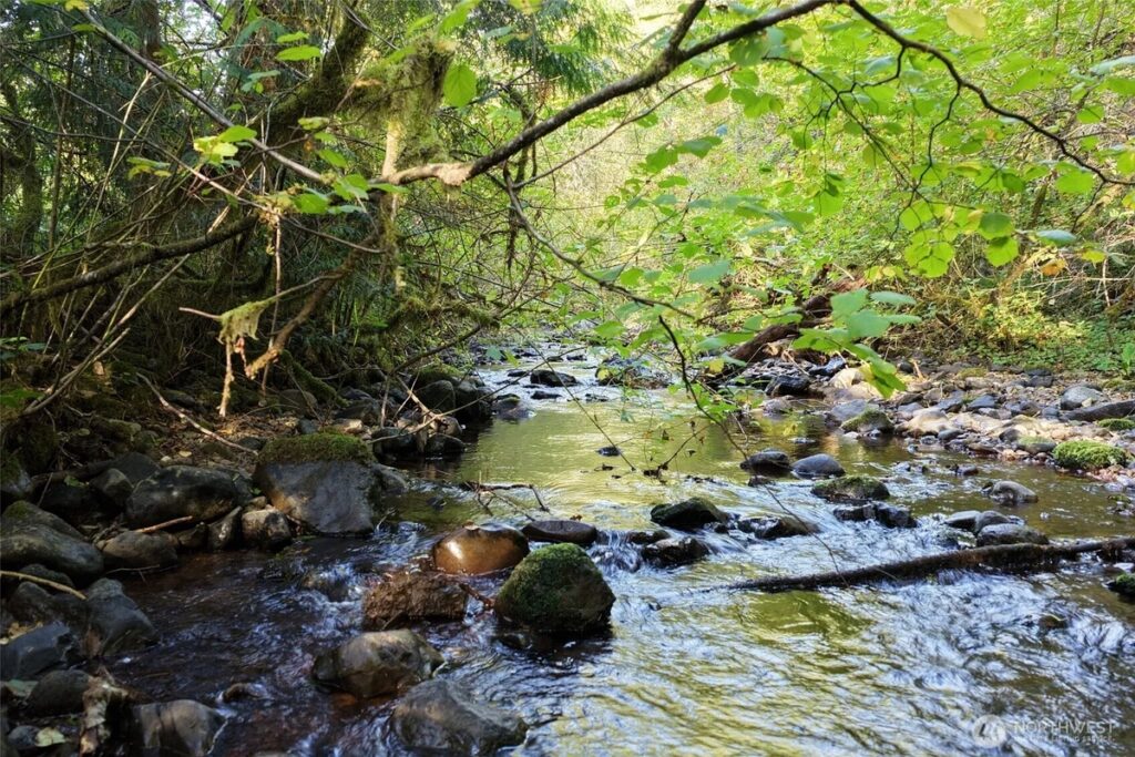 042d6ae6-2fe0-472f-883b-3d3517f75d6b.jpg