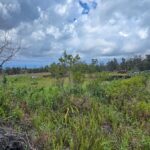 Property photo for land for sale in Hawaii County Hawaii