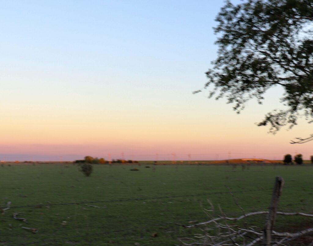 Property photo for land for sale in Oldham County Texas