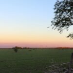 Property photo for land for sale in Oldham County Texas