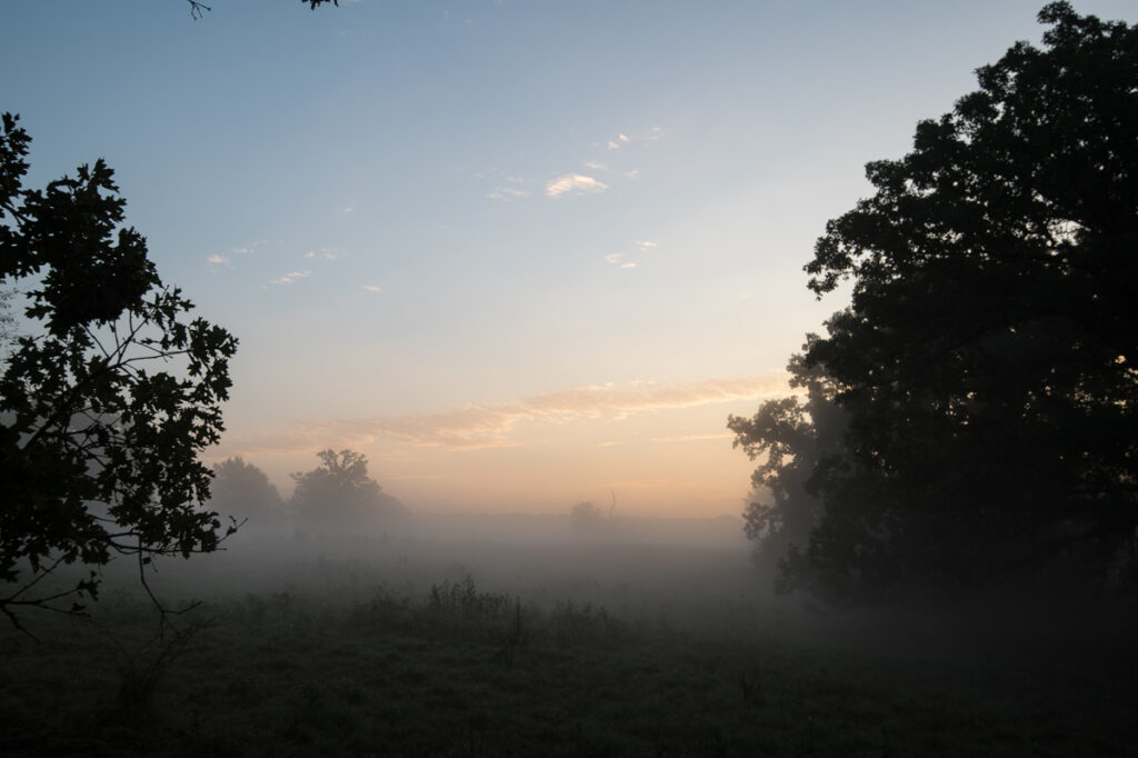 0a1df07b-4b25-4e3c-a9e7-7561724c0c57.jpg