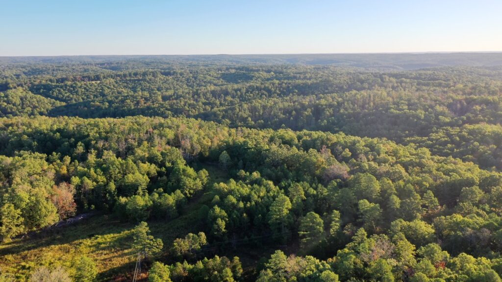 Property photo for land for sale in Dent County Missouri