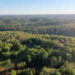 Property photo for land for sale in Dent County Missouri