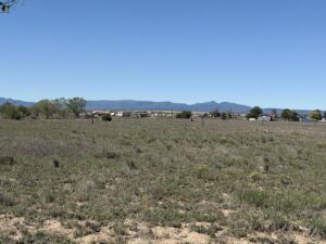 Property photo for land for sale in Torrance County New Mexico