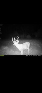 Property photo for land for sale in Lucas County Iowa