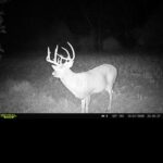 Property photo for land for sale in Lucas County Iowa