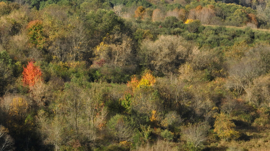 186dc5c9-ae47-4afc-840a-cca030043c68.jpg