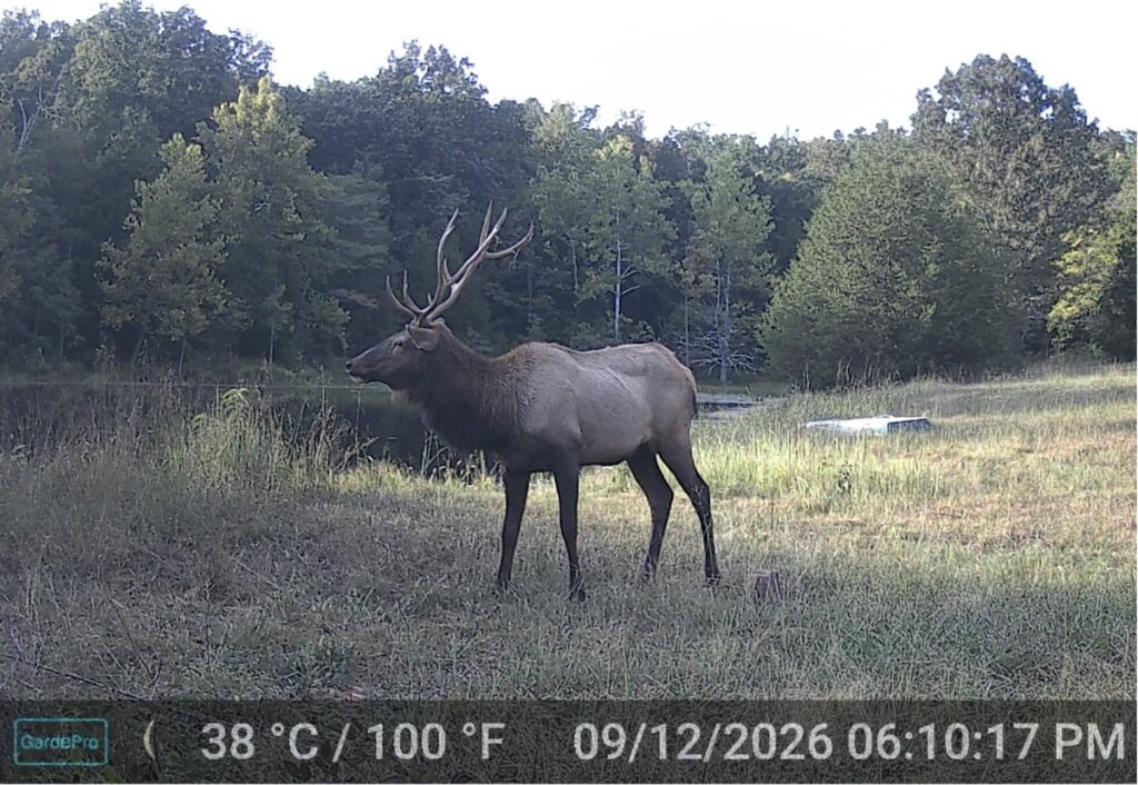 Property photo for land for sale in Shannon County Missouri