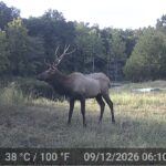 Property photo for land for sale in Shannon County Missouri