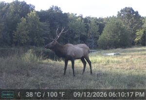 Property photo for land for sale in Shannon County Missouri