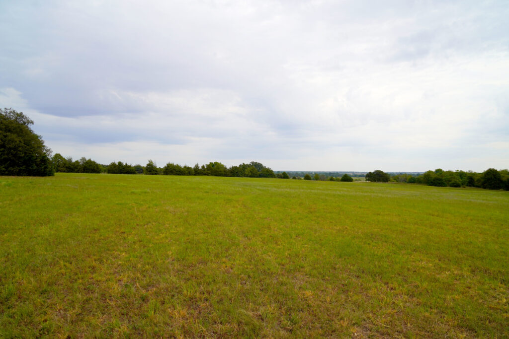 19d79dbb-3681-41e6-8a44-3475de2ae3f7.jpg
