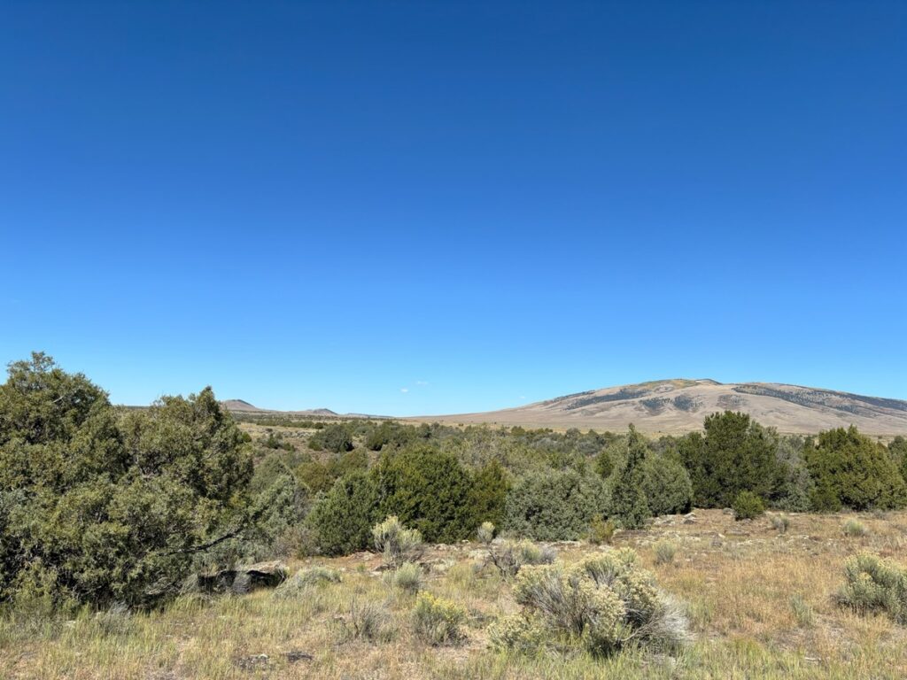 Property photo for land for sale in Rio Arriba County New Mexico