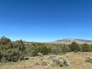 Property photo for land for sale in Rio Arriba County New Mexico