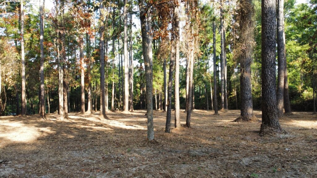 Property photo for land for sale in Smith County Texas