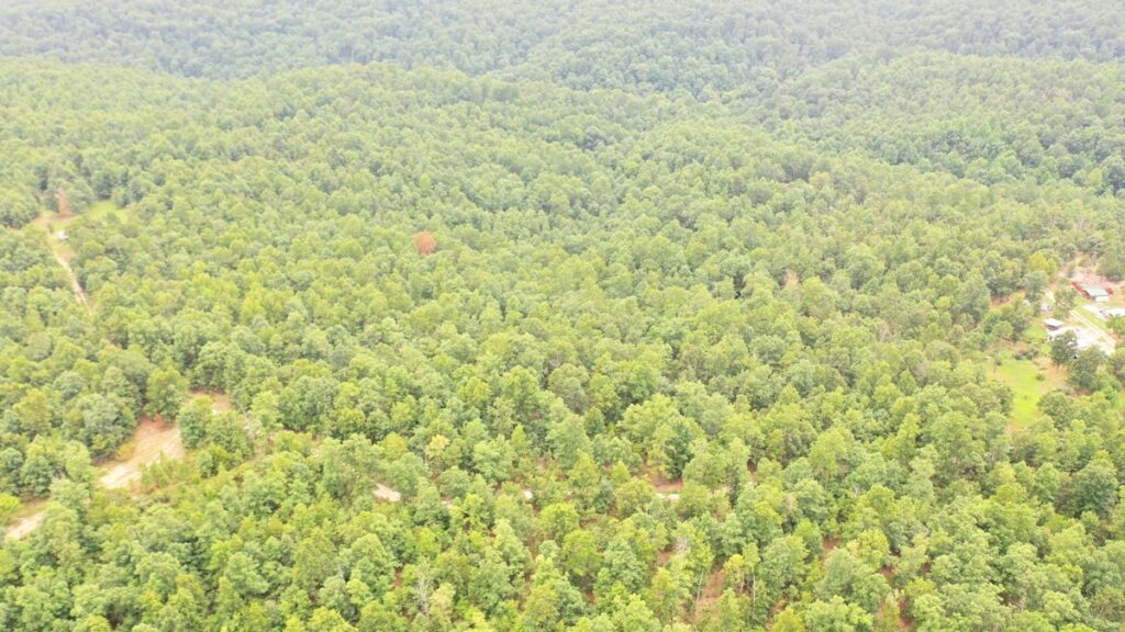 Property photo for land for sale in Dent County Missouri