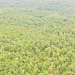 Property photo for land for sale in Dent County Missouri