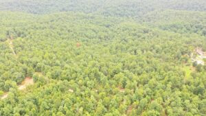 Property photo for land for sale in Dent County Missouri