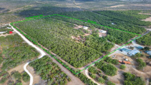 Property photo for land for sale in Jim Wells County Texas