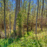 Property photo for land for sale in Buffalo County Wisconsin