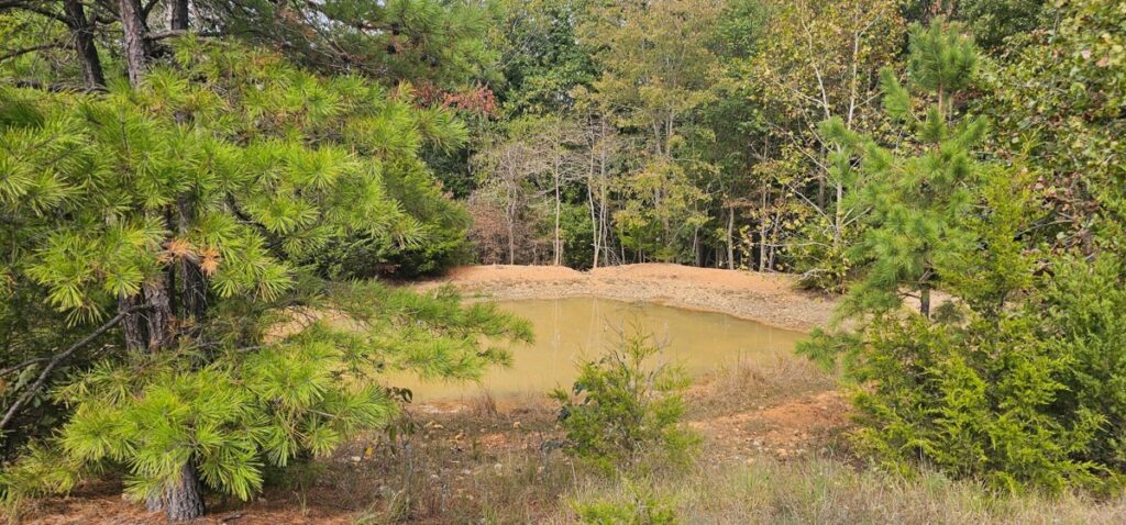 Property photo for land for sale in Ozark County Missouri