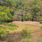Property photo for land for sale in Ozark County Missouri