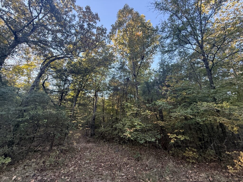 Property photo for land for sale in Sharp County Arkansas