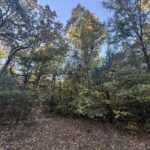 Property photo for land for sale in Sharp County Arkansas