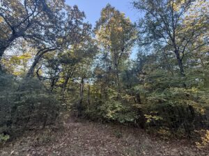 Property photo for land for sale in Sharp County Arkansas