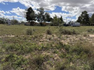 Property photo for land for sale in Torrance County New Mexico