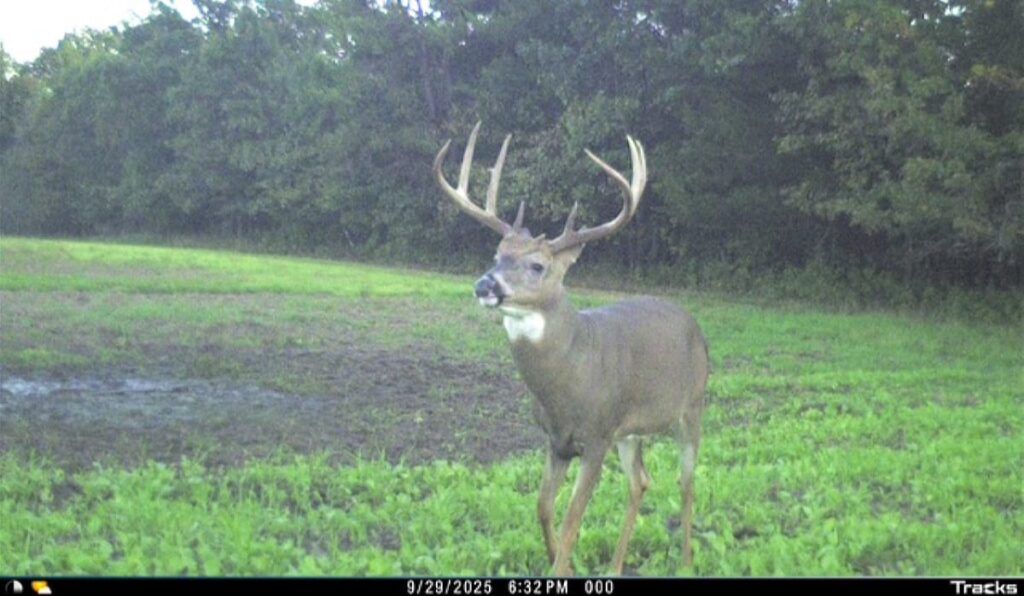 Property photo for land for sale in Adams County Wisconsin