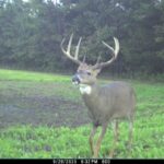 Property photo for land for sale in Adams County Wisconsin