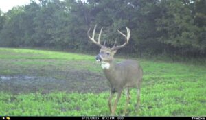 Property photo for land for sale in Adams County Wisconsin